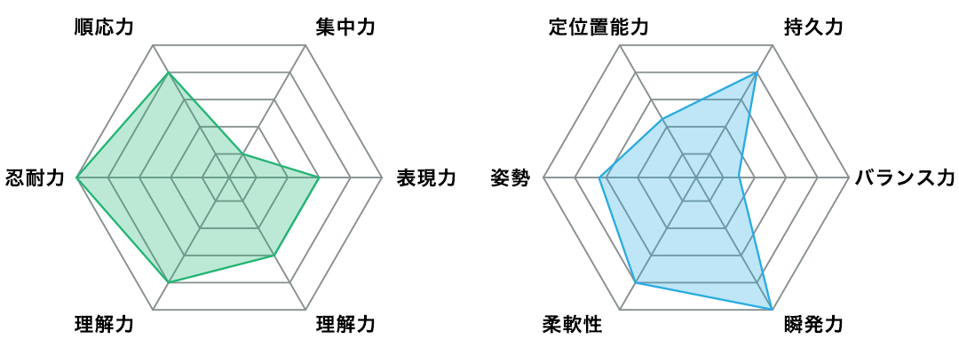 ステップアップ空手の図